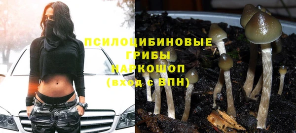 мдпв Михайловск