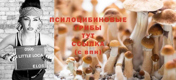 метадон Михайлов