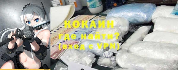 PSILOCYBIN Щучье
